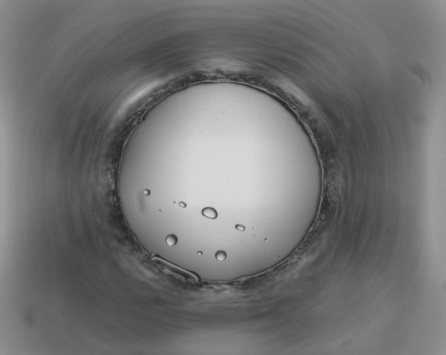 X0000113751112200910141020