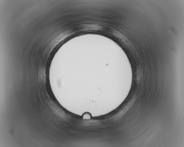 X0000113751113200910141020