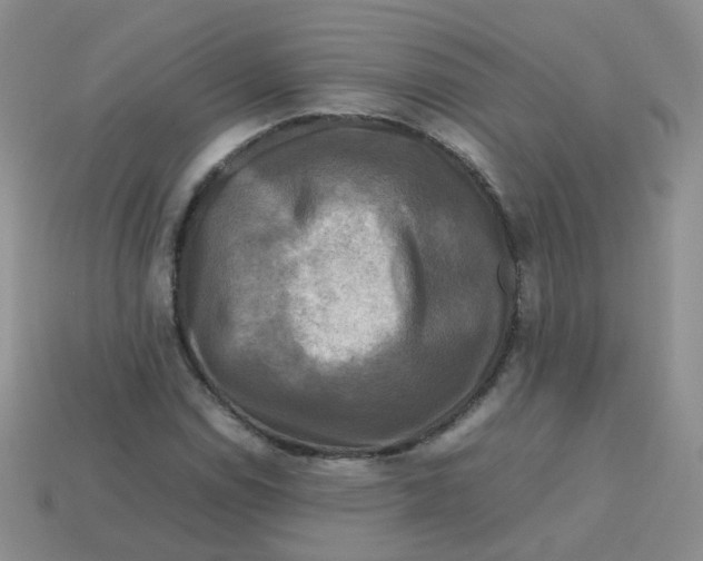 X0000113751114200910141020