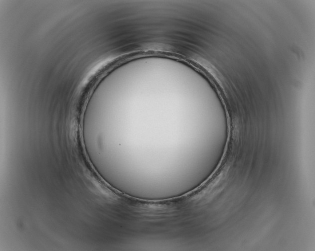 X0000113751115200910141020