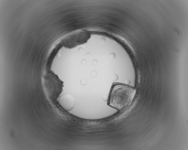 X0000113751117200910141020