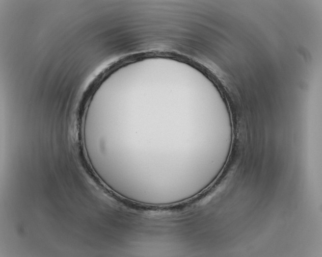 X0000113751118200910141020