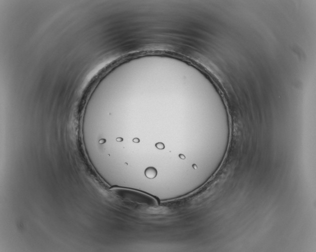 X0000113751119200910141020