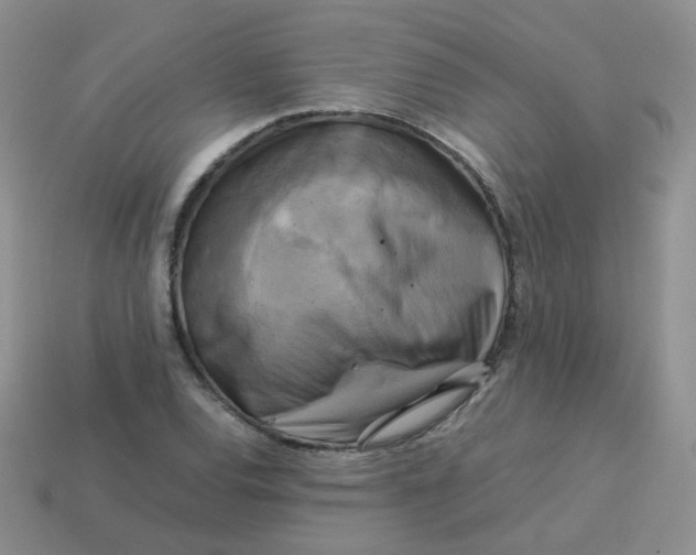 X0000113751120200910141020