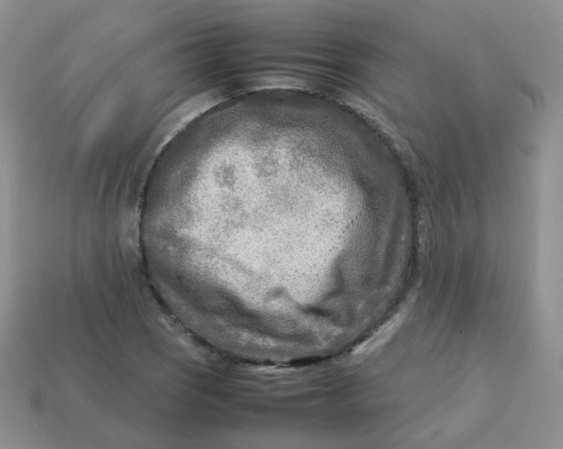 X0000113751121200910141020