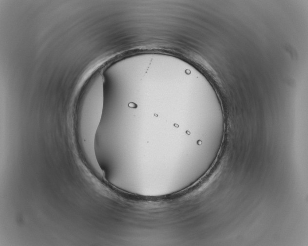 X0000113751122200910141020