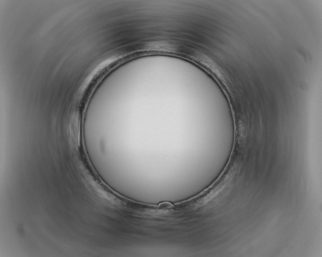 X0000113751123200910141020