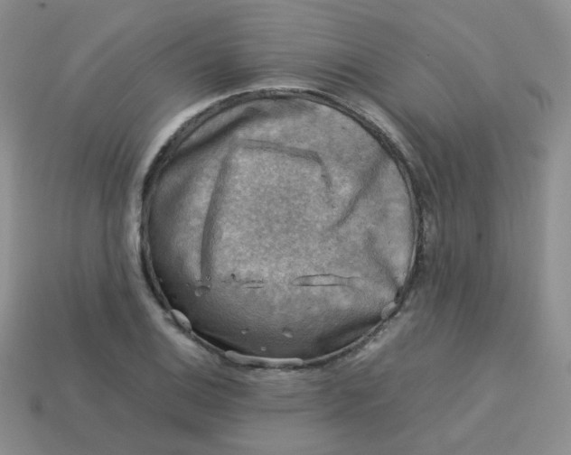 X0000113751124200910141020