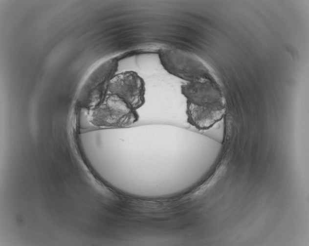 X0000113751125200910141020