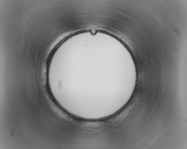 X0000113751126200910141020