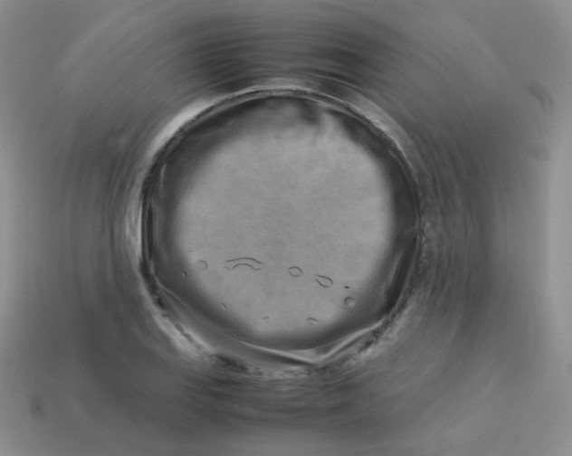 X0000113751127200910141020