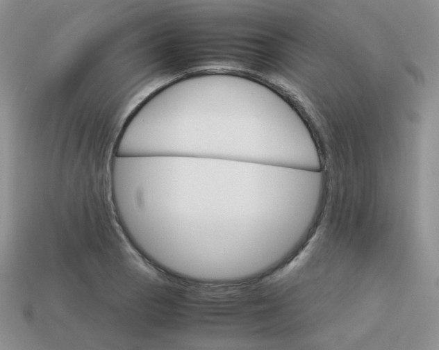 X0000113751129200910141020