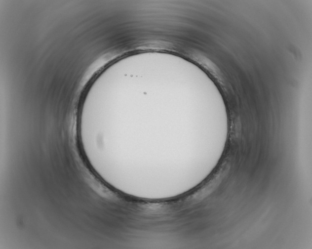 X0000113751130200910141020