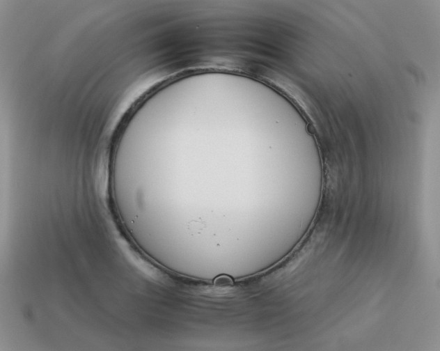 X0000113751131200910141020