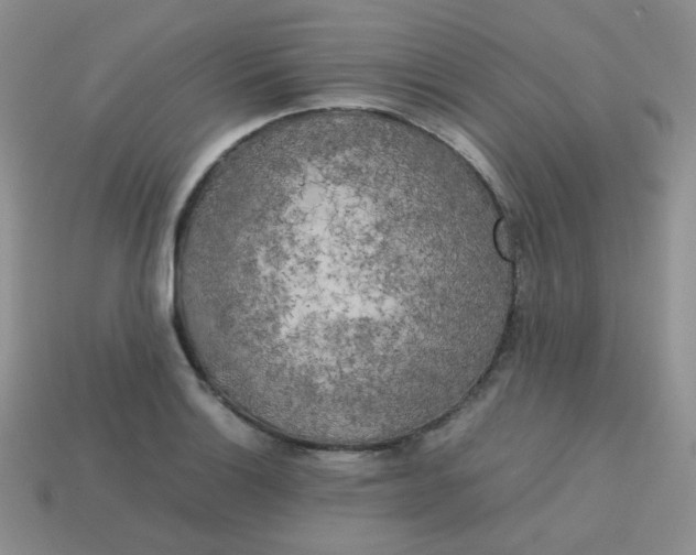 X0000113751132200910141020