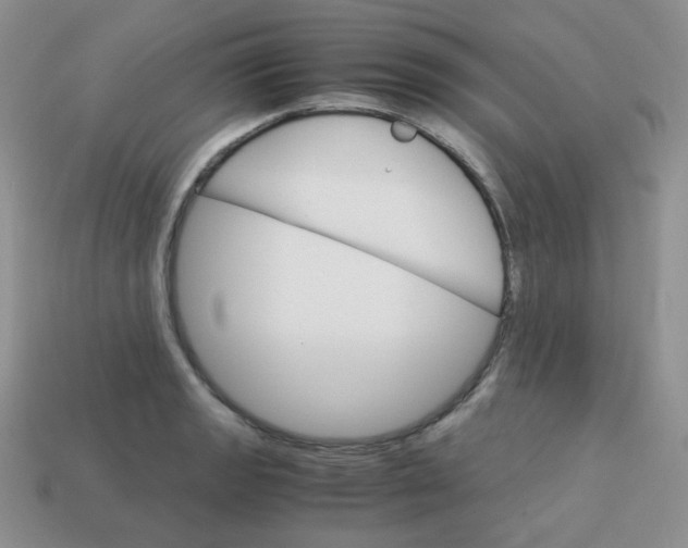 X0000113751133200910141020