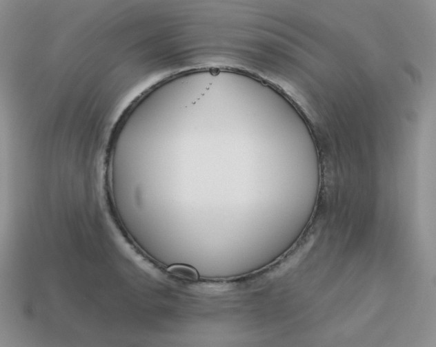 X0000113751134200910141020