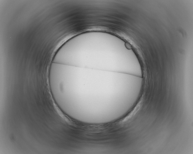 X0000113751137200910141020