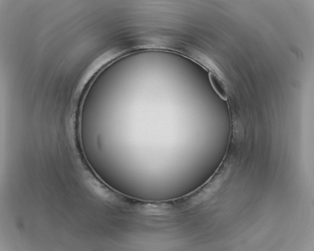 X0000113751138200910141020