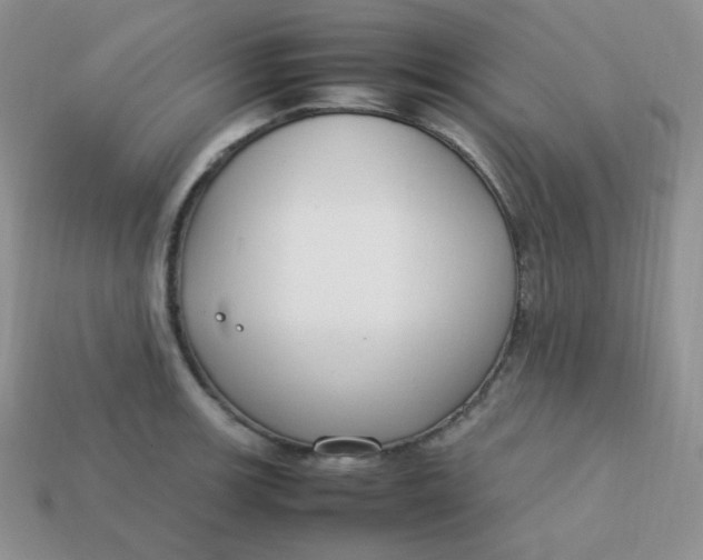 X0000113751139200910141020