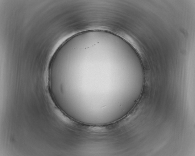 X0000113751140200910141020