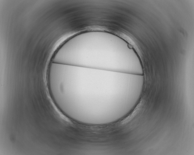 X0000113751141200910141020