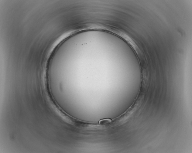 X0000113751142200910141020