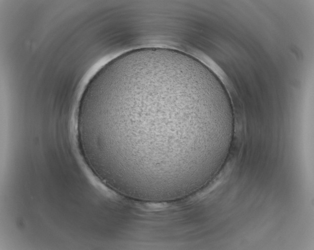 X0000113751144200910141020