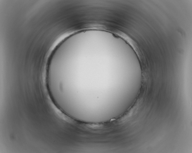 X0000113751147200910141020