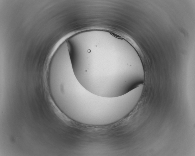 X0000113751148200910141020