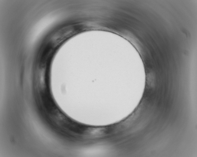 X0000113751150200910141020