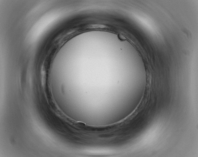 X0000113751151200910141020