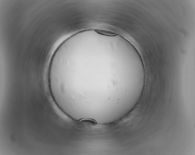 X0000113751152200910141020