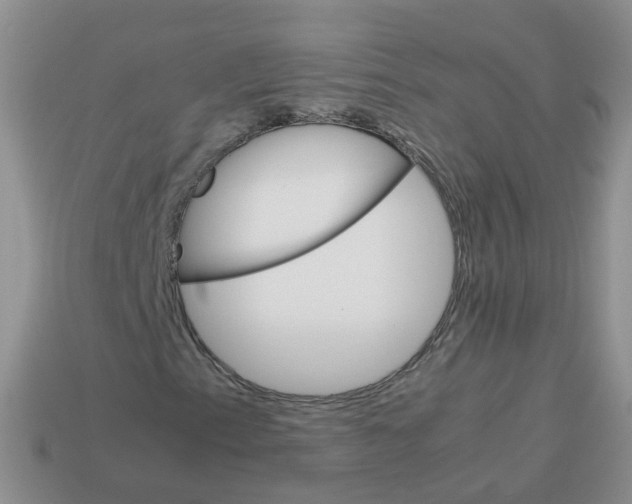 X0000113751153200910141020