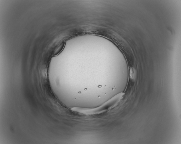 X0000113751155200910141020