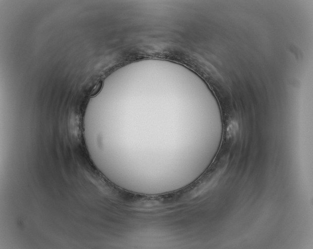 X0000113751156200910141020