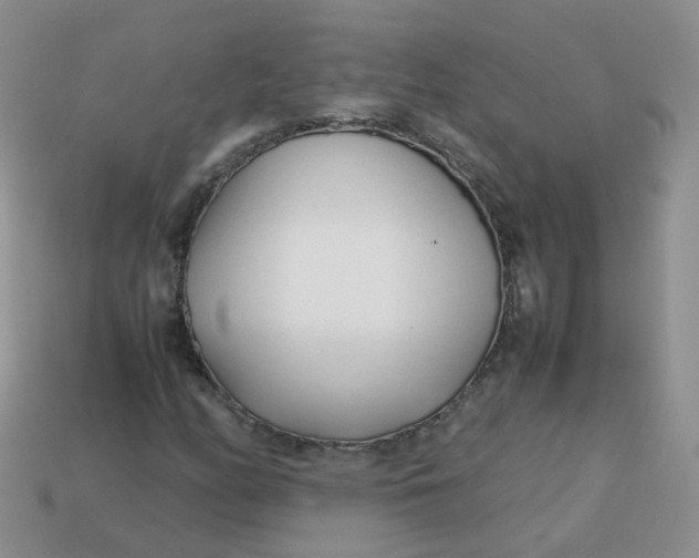 X0000113751158200910141020