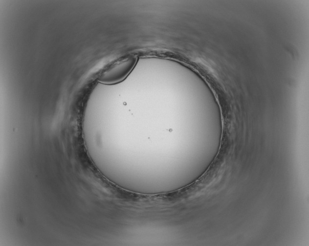 X0000113751159200910141020