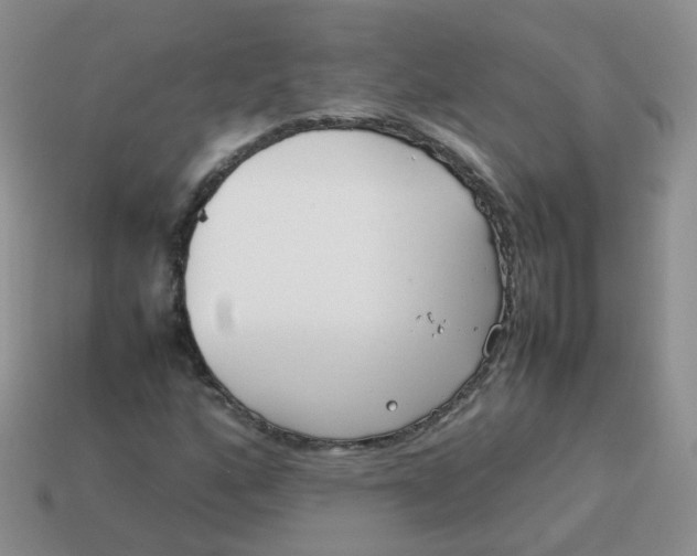 X0000113751160200910141020