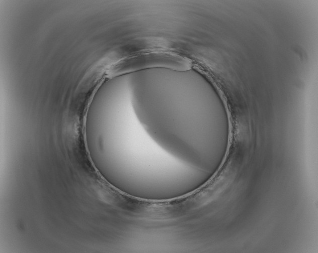 X0000113751161200910141020