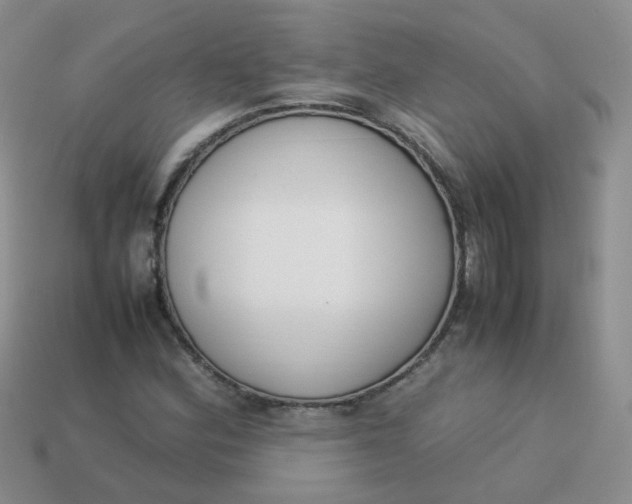 X0000113751164200910141020