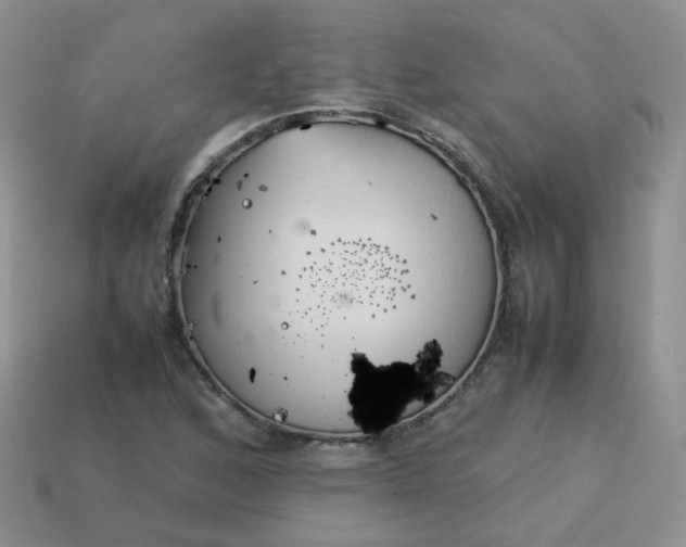 X0000113751168200910141020