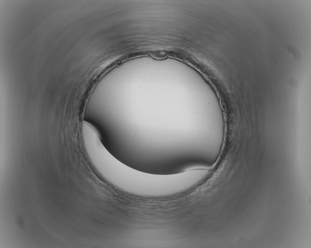 X0000113751169200910141020