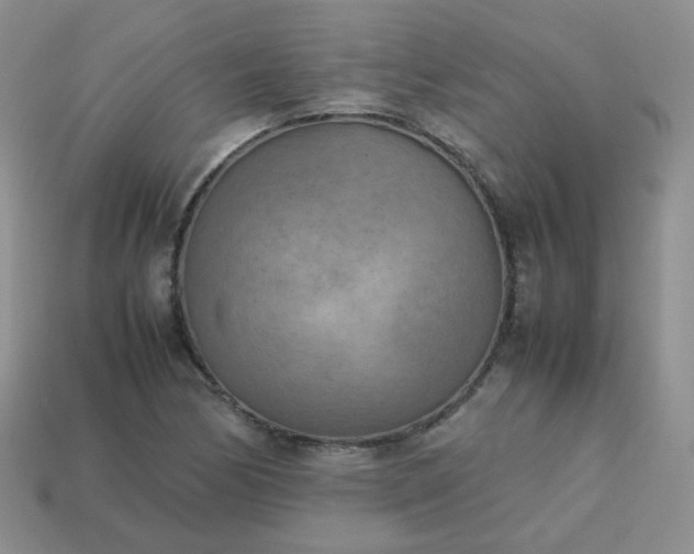 X0000113751170200910141020