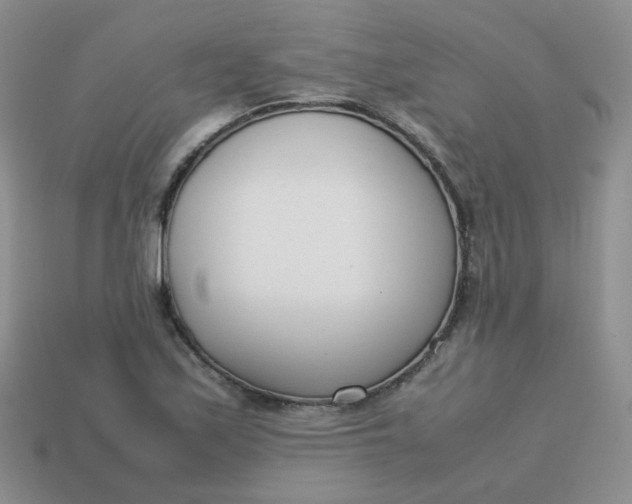 X0000113751171200910141020