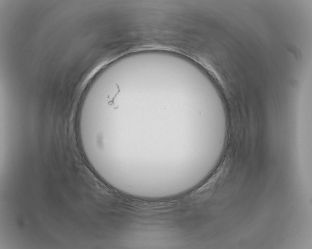 X0000113751173200910141020