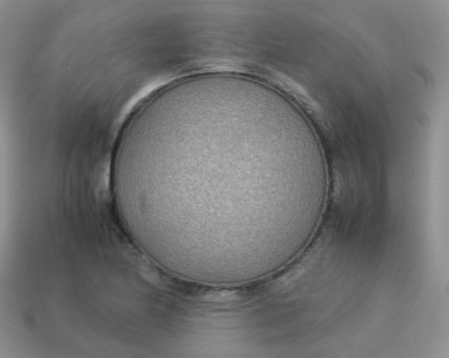 X0000113751174200910141020