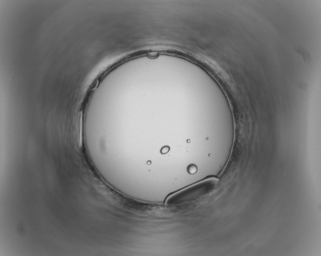 X0000113751175200910141020