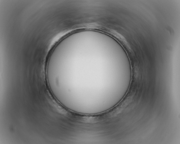 X0000113751176200910141020