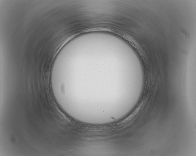 X0000113751177200910141020